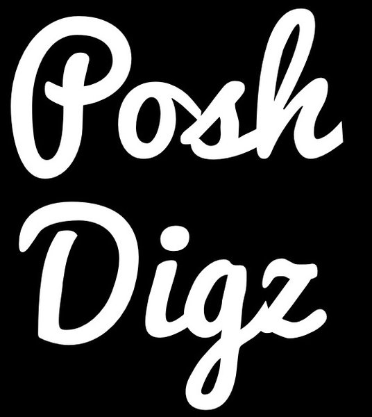 Poshdigz logo